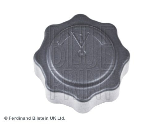 Mini Radyatör Kapağı BLUEPRINT