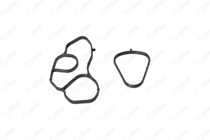 Mini Yağ Filtre Gövdesi Conta Seti NIFEA