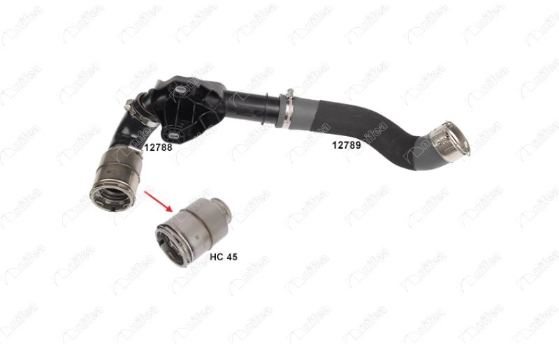 Nissan NV400 Platform Şasi dCi 130 Turbo Hortumları NIFEA