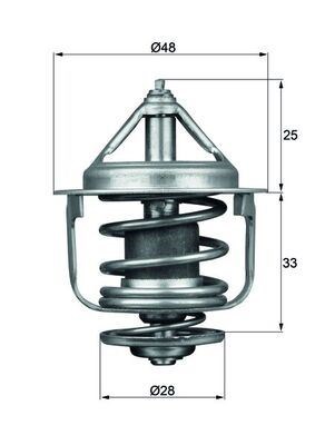 Nissan Sunny Primera Termostat 77C MAHLE