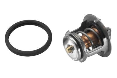 Nissan Mazda Termostat 76C Ters Kupilya Kauçuk Klape ELBA