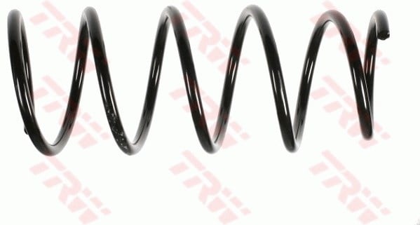 Nissan Kubistar Van Ön Aks Süspansiyon Yayı TRW