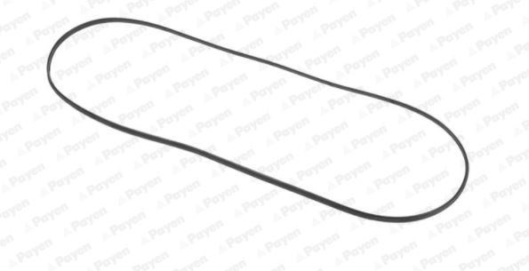 Opel Külbütör Kapak Contası PAYEN
