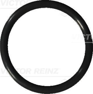 Opel Karter Tapa Contası Oringi V.REINZ
