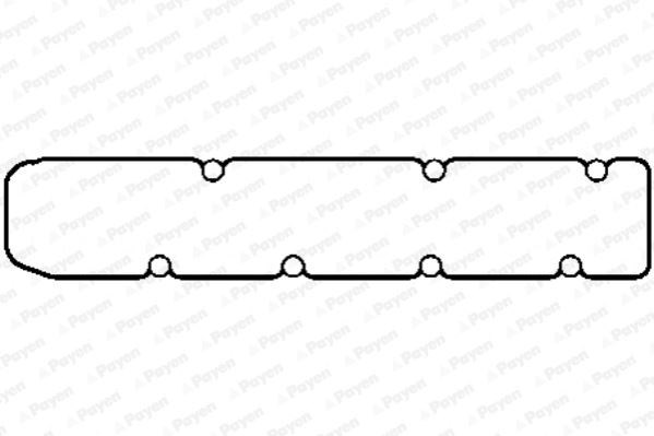 Peugeot Partner Berlingo Jumpy Xsara Ducato 206 306 307 406 2.0-2.2 HDI... PAYEN