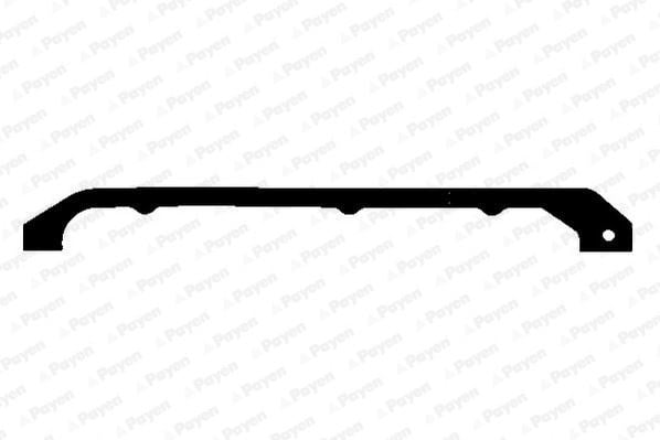 Peugeot Partner Berlingo Jumpy Xsara Ducato 206 306 307 406 2.0-2.2 HDI... PAYEN