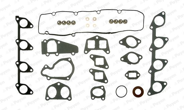 Peugeot Partner Expert Boxer Citroen Ducato Scudo Berlingo C5 Jumpy Xsara... PAYEN