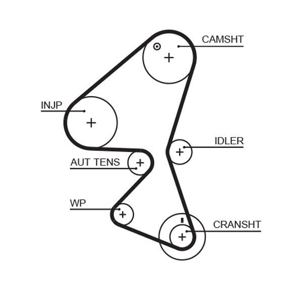 Peugeot Partner Tepee 206 207 307 308 407 Citroen C2 C3 C4 C5 Jumpy Triger... GATES