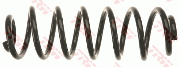 VW Passat B6 Arka Aks Süspansiyon Yayı TRW