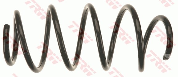 VW Passat B6 Ön Aks Süspansiyon Yayı TRW