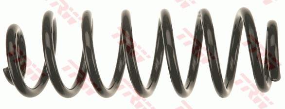 VW Passat B6 Arka Aks Süspansiyon Yayı TRW