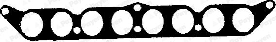Peugeot Manifold Contası PAYEN