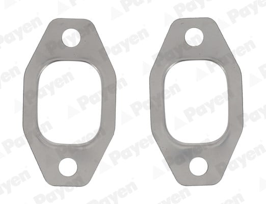 Peugeot Manifolt Contası PAYEN