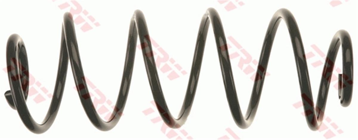 Peugeot 207 (2006-2013) Helezon Yayı Arka