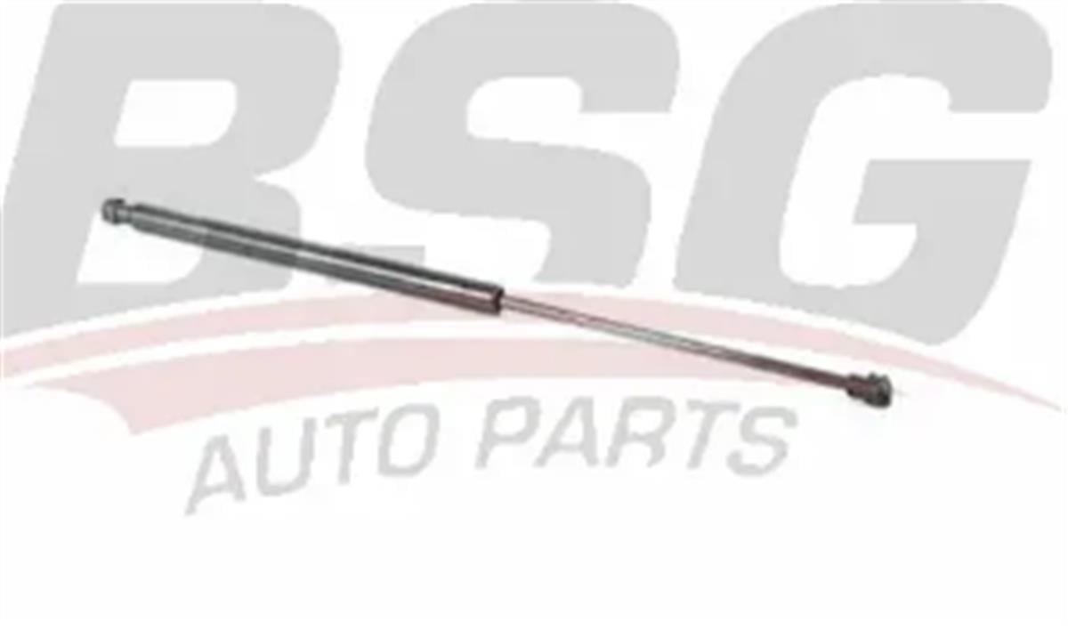 Partner Berlingo (B9) Arka Bagaj Camı Amortisörü Bsg (2008 Ve Sonrası) 8731.R8