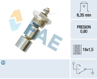 Peugeot J9 Yağ Müşürü Çift Piston FAE