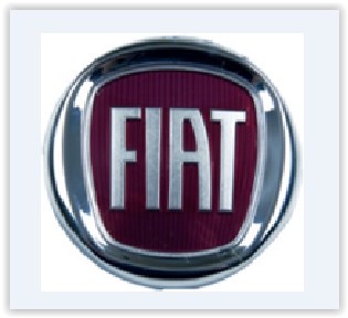 Fiat Punto Evo Panjur Arması Bordo Çap:85mm AYHAN