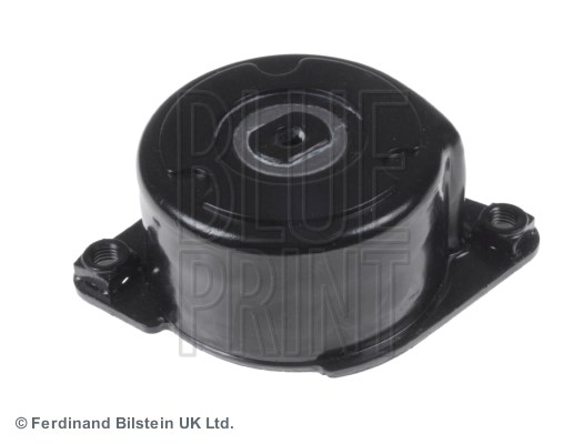 Land Rover Range Rover L322 Kayış Gergisi BLUEPRINT