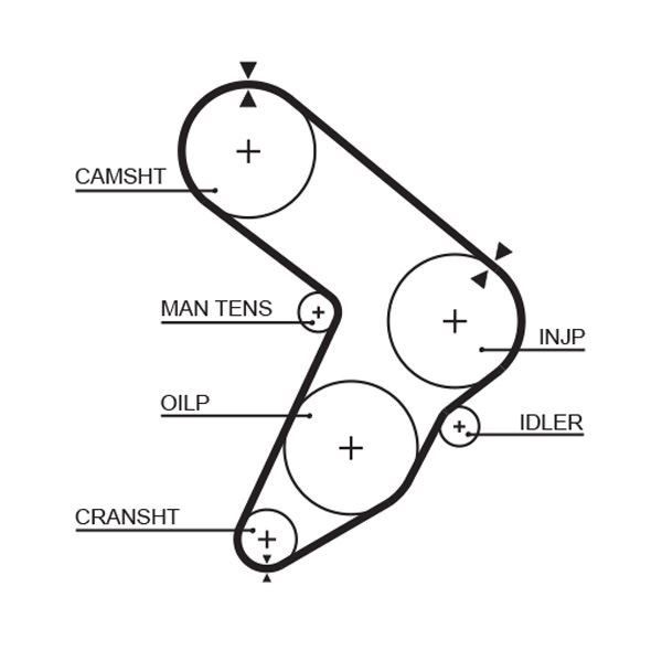 Fiat Regata Marengo Triger Kayışı GATES