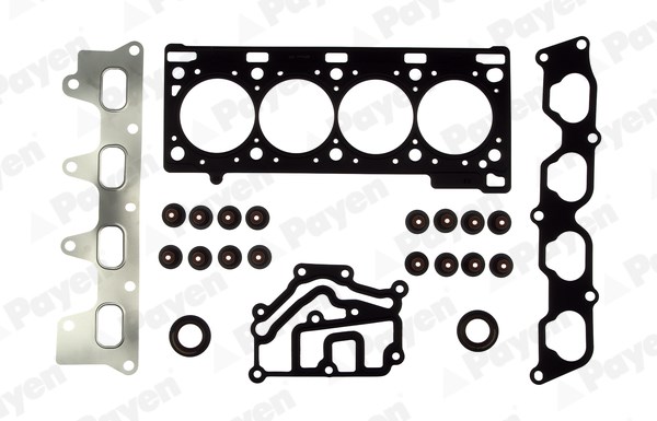 Renault Grand Scenic Laguna Megane Motor Conta Takımı PAYEN