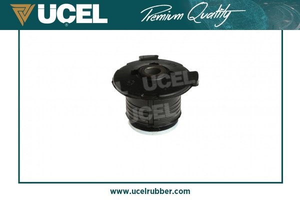 Renault R21 TXE Motor Beşik Burcu UCEL