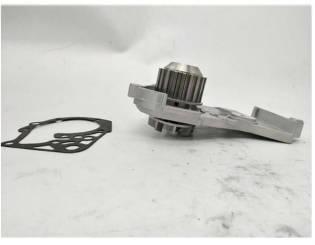 Renault Clio Kangoo Devirdaim Pompası Aybay