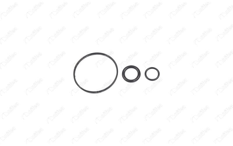 Renault Captur I Clio III Clio IV Fluence Megane II-III-IV Symbol III... NIFEA