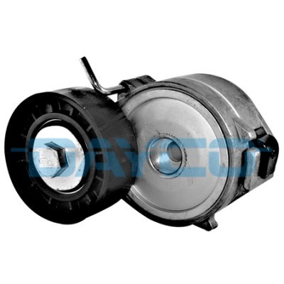 Volvo S80 Alternatör Gergi Rulmanı DAYCO
