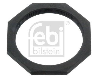 Scania 3-Seri P G L R S Seri Aks Somunu FEBI