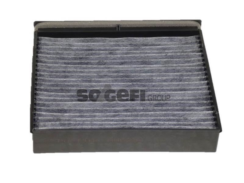 Renault Scenic 2 Karbonlu Polen Filtresi PURFLUX