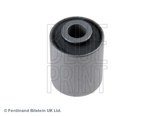 Subaru Salıncak Burcu BLUEPRINT
