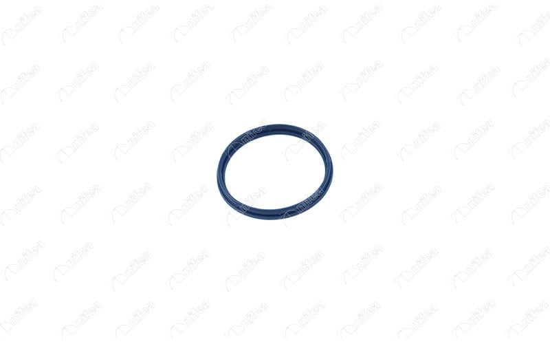 Ford Transit Emme Manifold Contası NIFEA