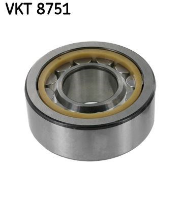 Şanzıman Rulmanı SKF
