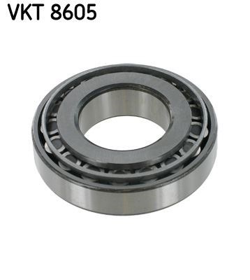 Şanzıman Rulmanı SKF