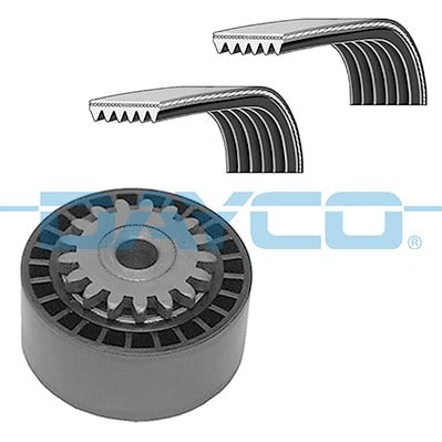 Kanallı Kayış Kiti DAYCO
