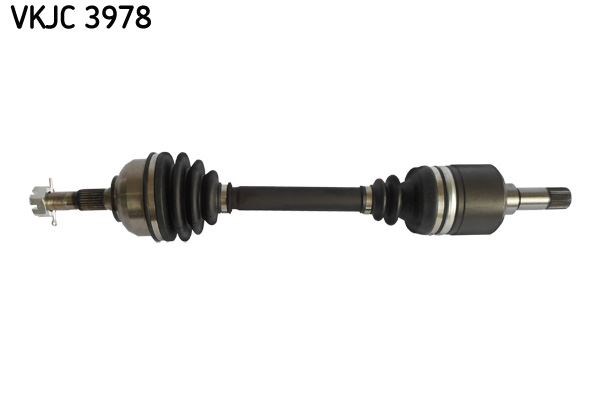 Aks Rulmanı SKF