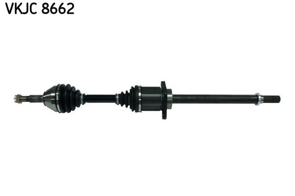 Aks Rulmanı SKF