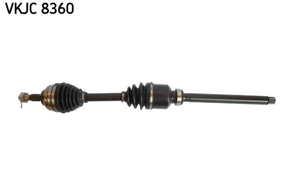 Aks Rulmanı SKF