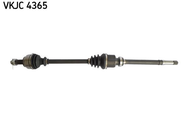 Aks Rulmanı SKF