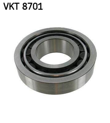 Şanzıman Rulmanı SKF