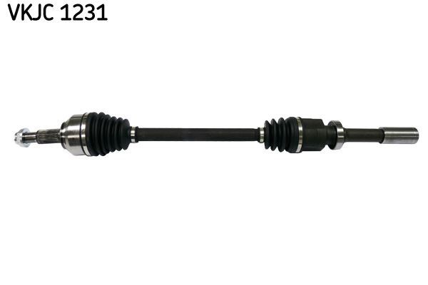 Aks Rulmanı SKF