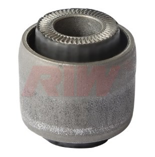 Salıncak ve Denge Kolu Burcu İç Arka Alt RIW