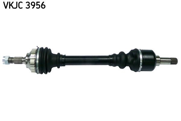 Aks Rulmanı SKF