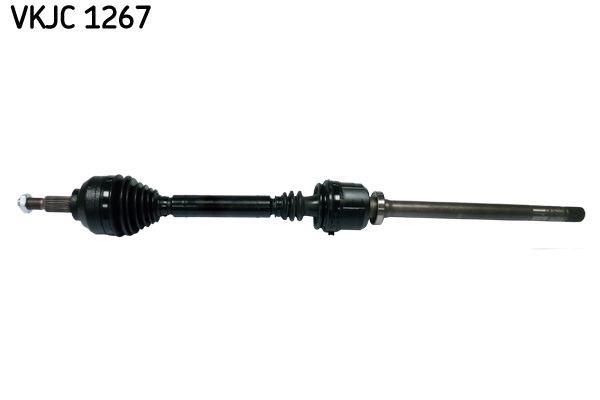 Aks Rulmanı SKF