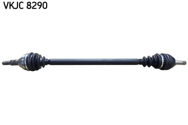 Aks Rulmanı SKF