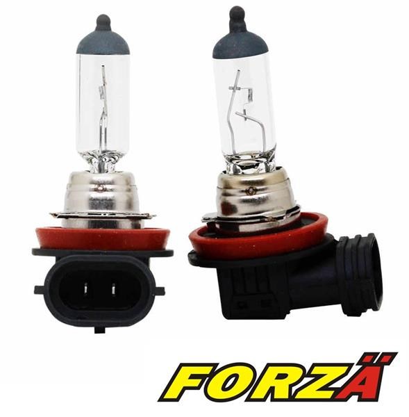 H-16 Halojen Ampul 12V 55W %30 Fazla FORZA