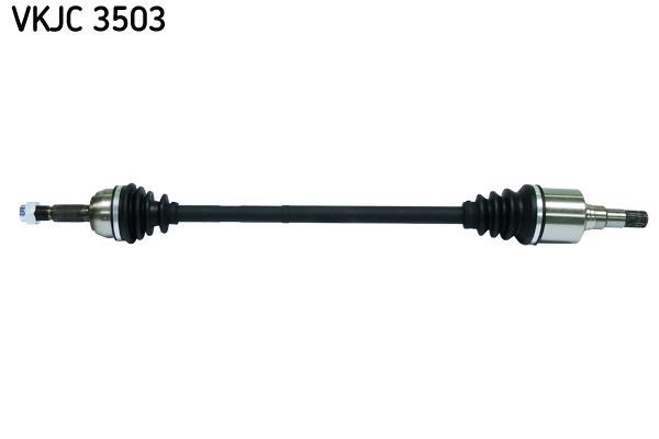 Aks Rulmanı SKF