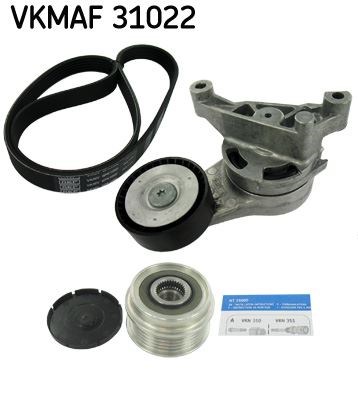 Rulman SKF