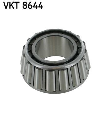 Şanzıman Rulmanı SKF