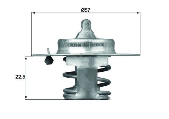 Termostat MAHLE
